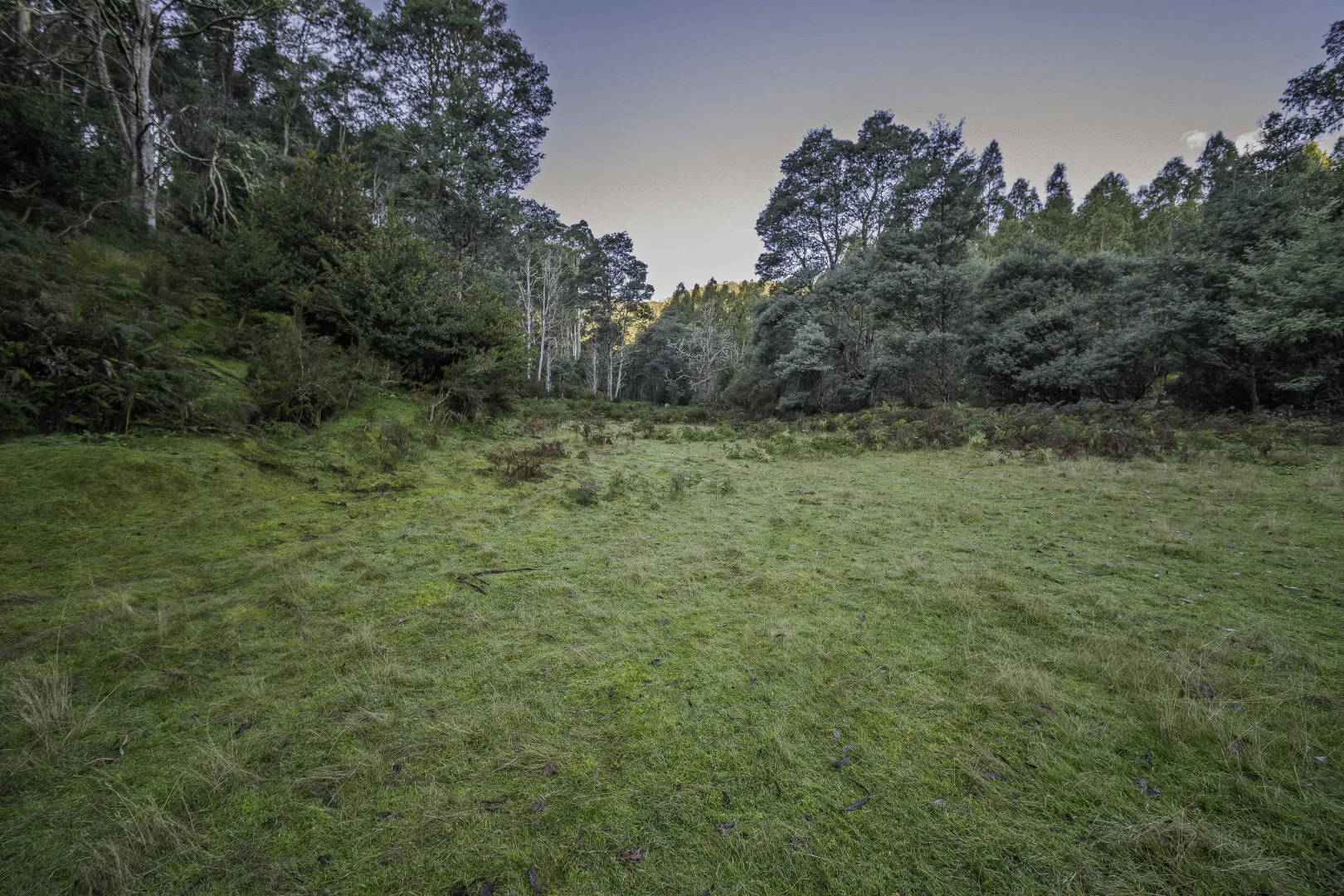 Image 26