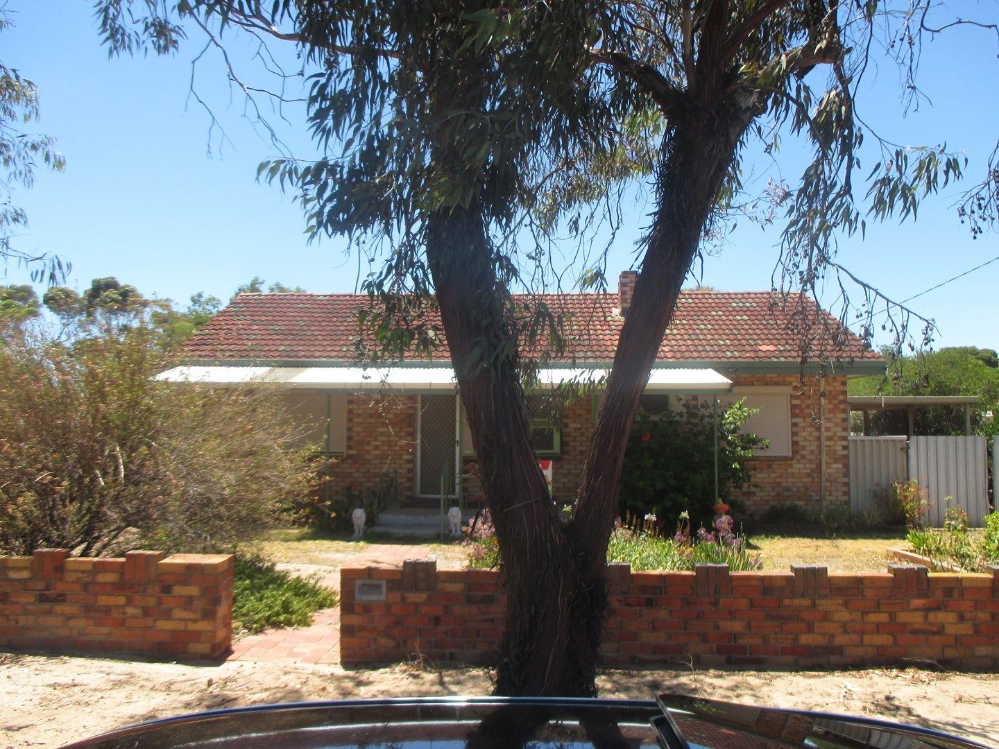 39 Conroy, Katanning WA 6317, Image 0