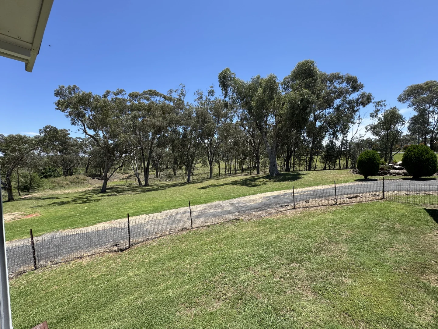 Image 28