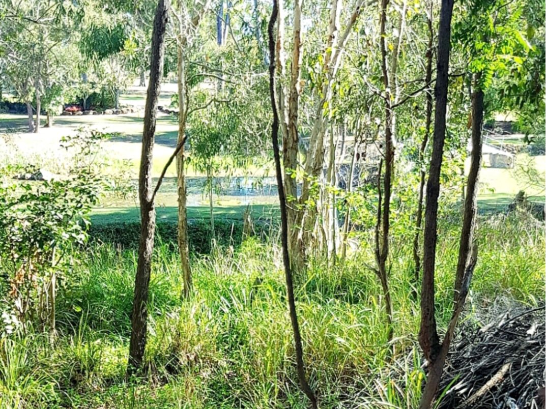 Avoca QLD 4670 vacant land for Sale, 285,000 2017916850 Domain