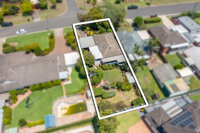 Picture of 8 Bedford Street, EMU PLAINS NSW 2750