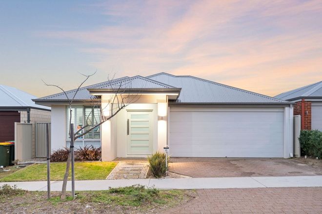 Picture of 17 Tortoise Street, ALKIMOS WA 6038