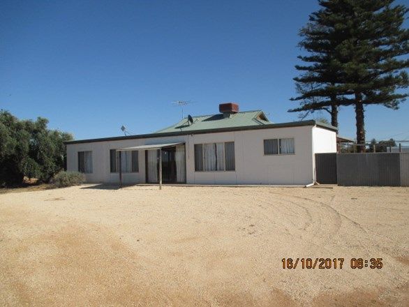 62 Renfrey Road, Barmera SA 5345, Image 0