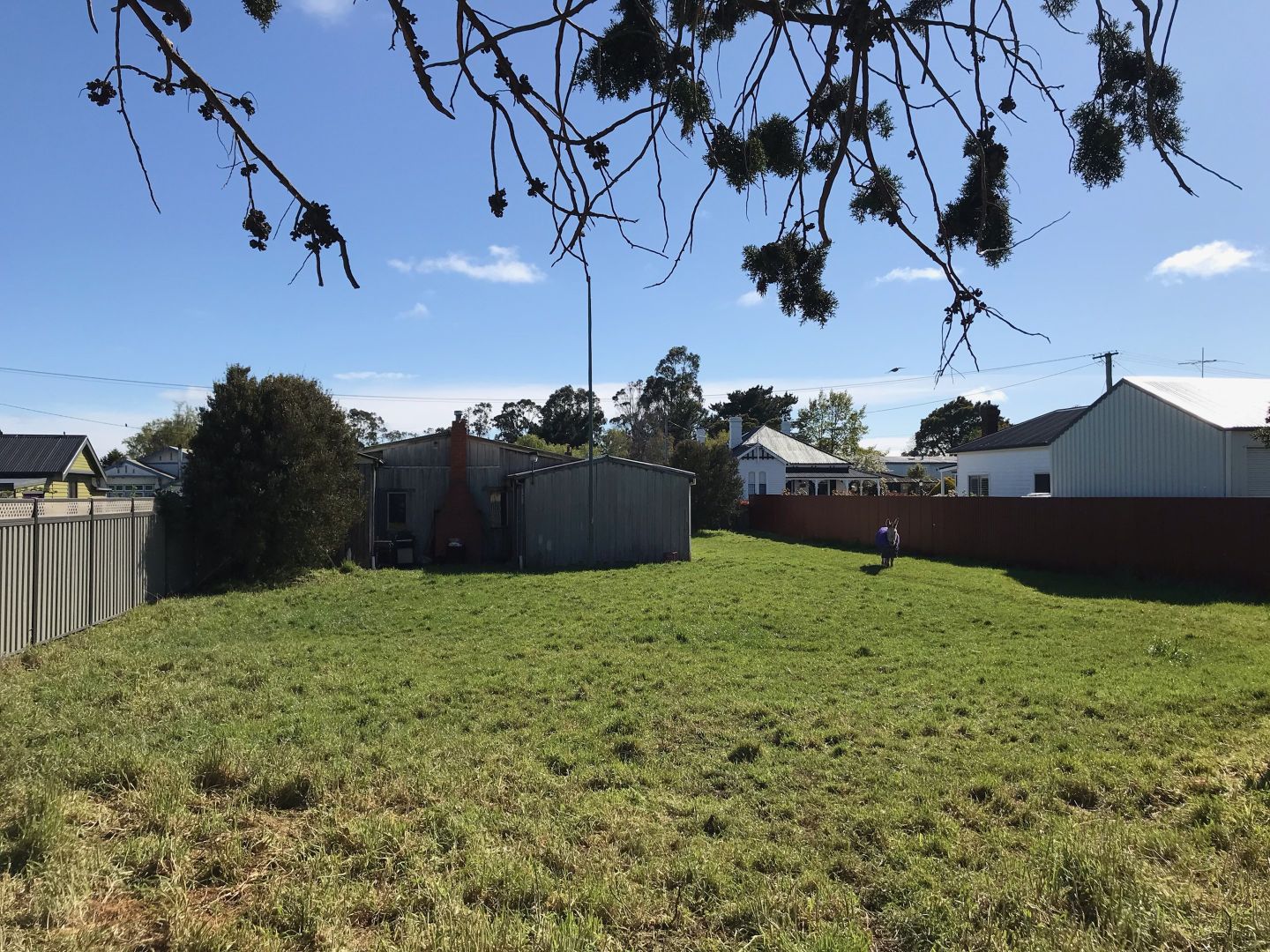 7 Church Street, Cressy TAS 7302, Image 2