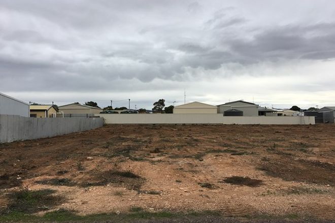 Picture of 20 Burton Street, COWELL SA 5602