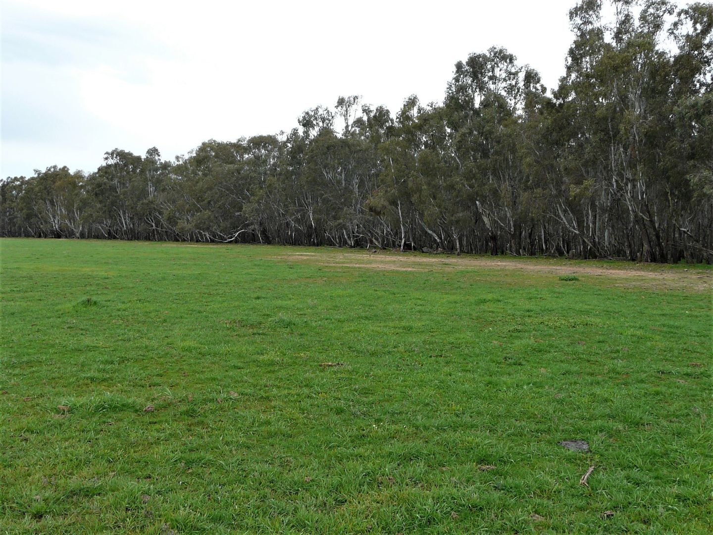 Lot 5 Woolshed Road, Tocumwal NSW 2714, Image 2