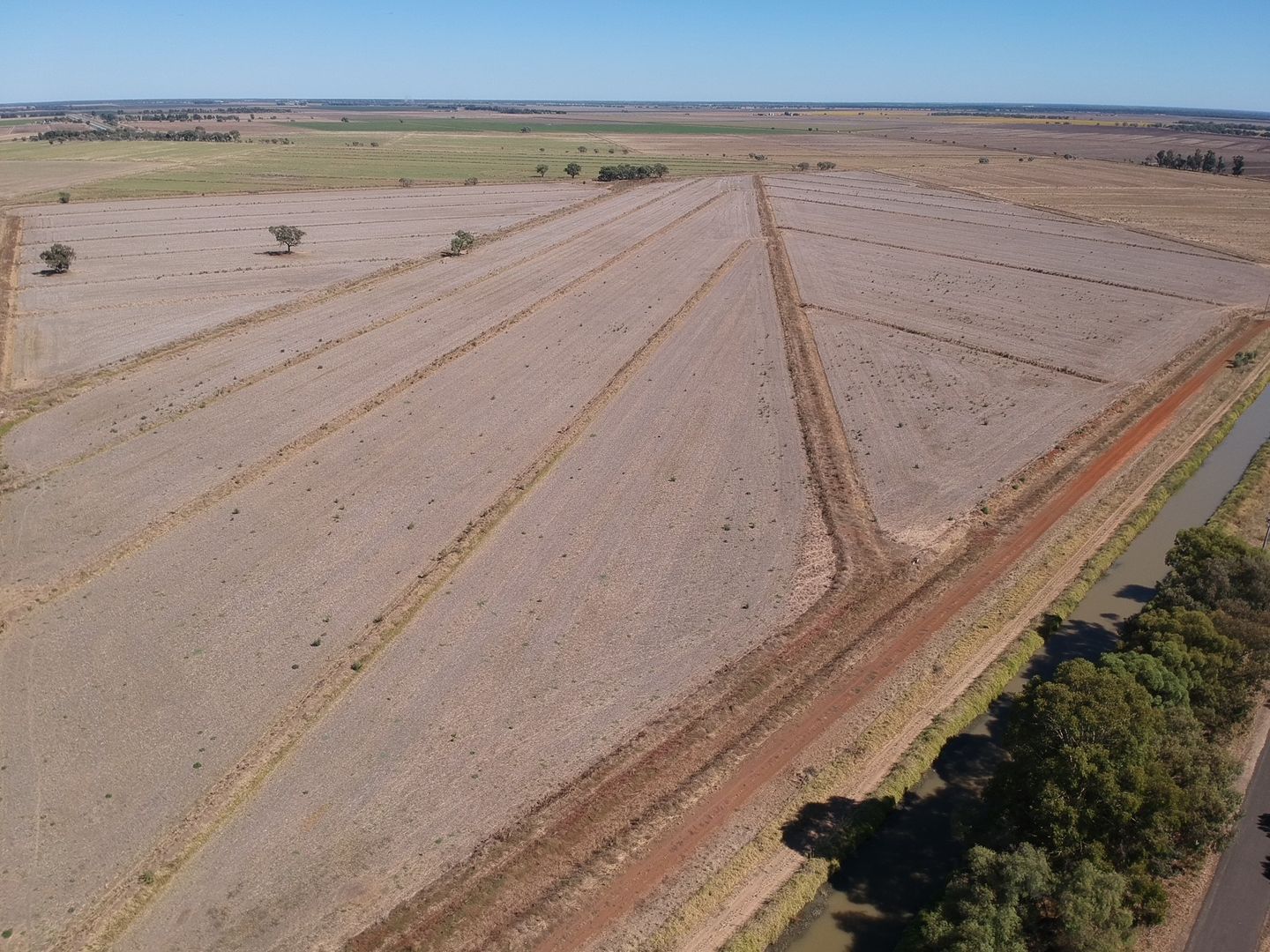 Farm 63/801 Anderson Road, Coleambally NSW 2707, Image 1