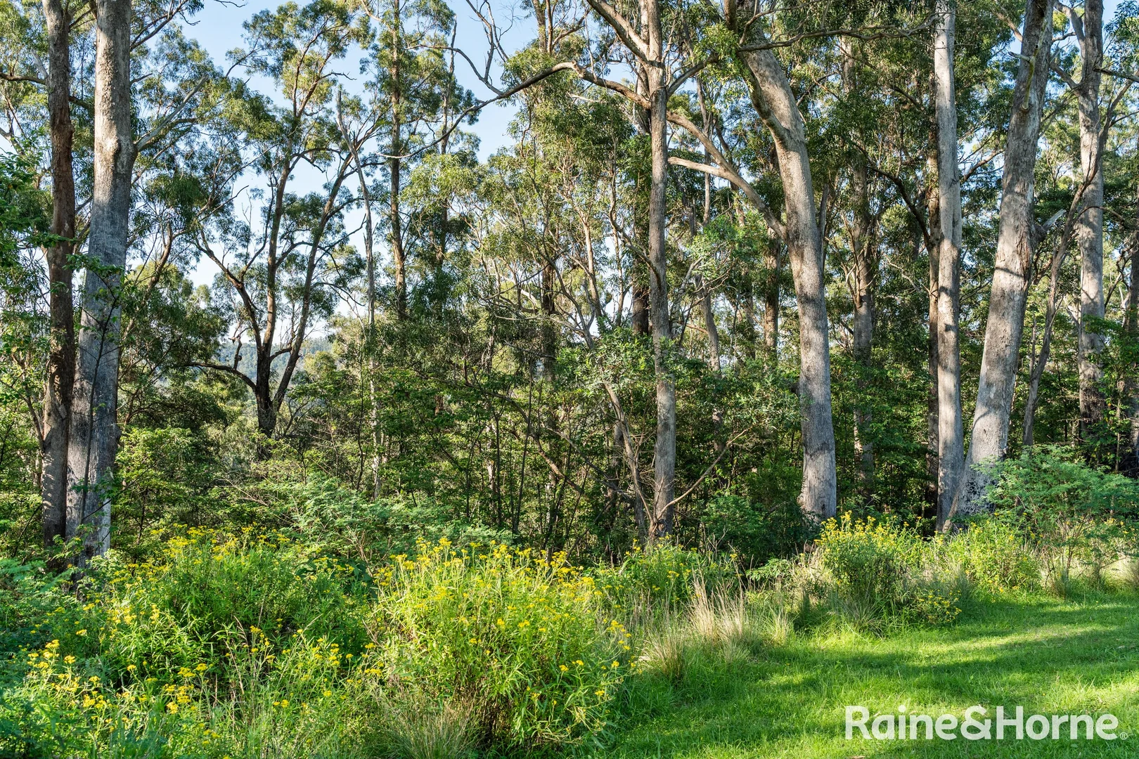 Additional image 22 of 562 Little Forest Road, Little Forest NSW 2538