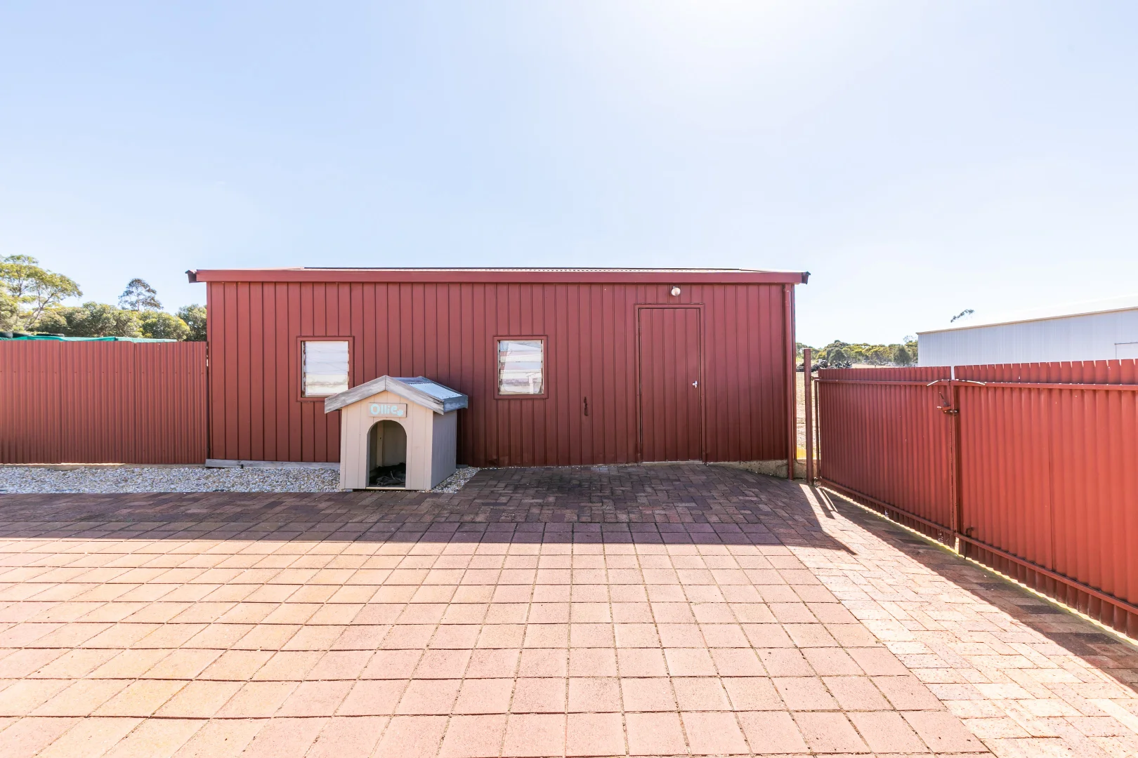 Image 31