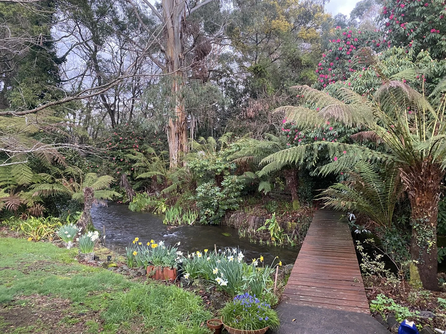 47 Mareeba Avenue, Buxton VIC 3711