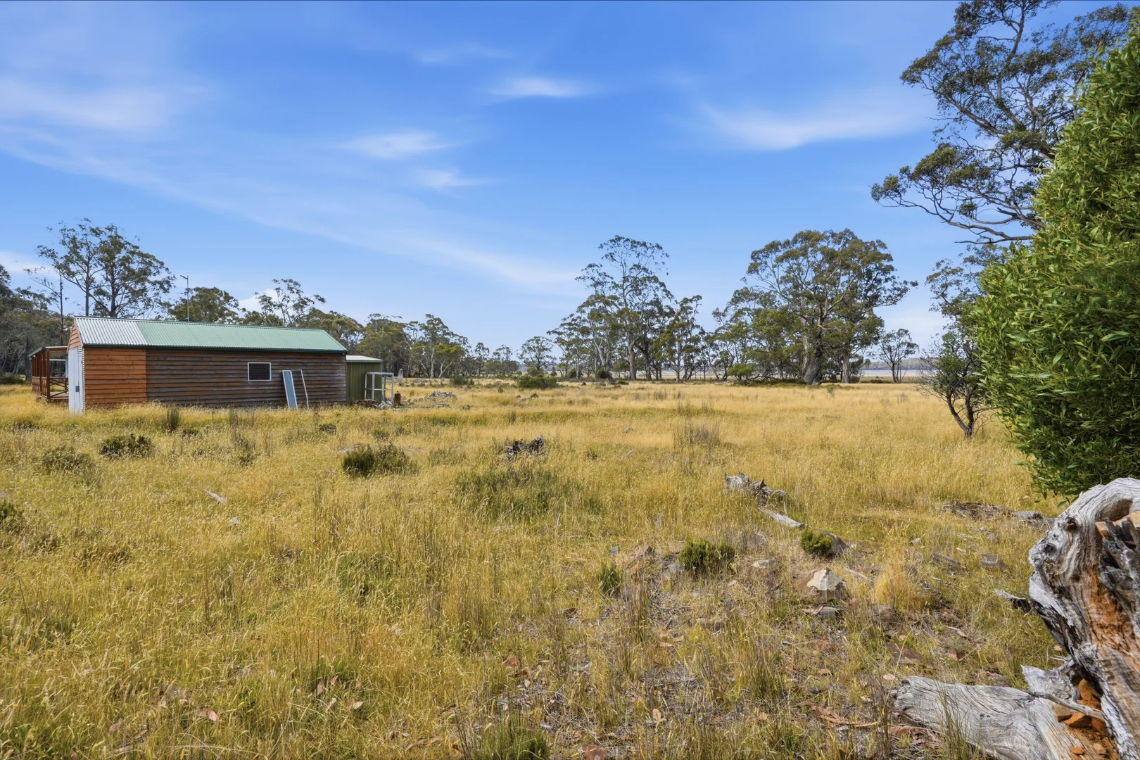 Image 10