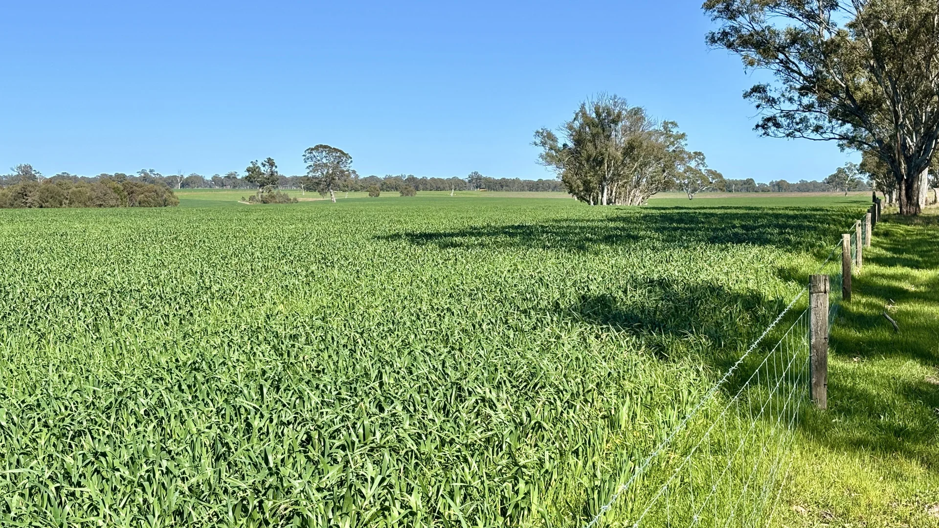 Image 14