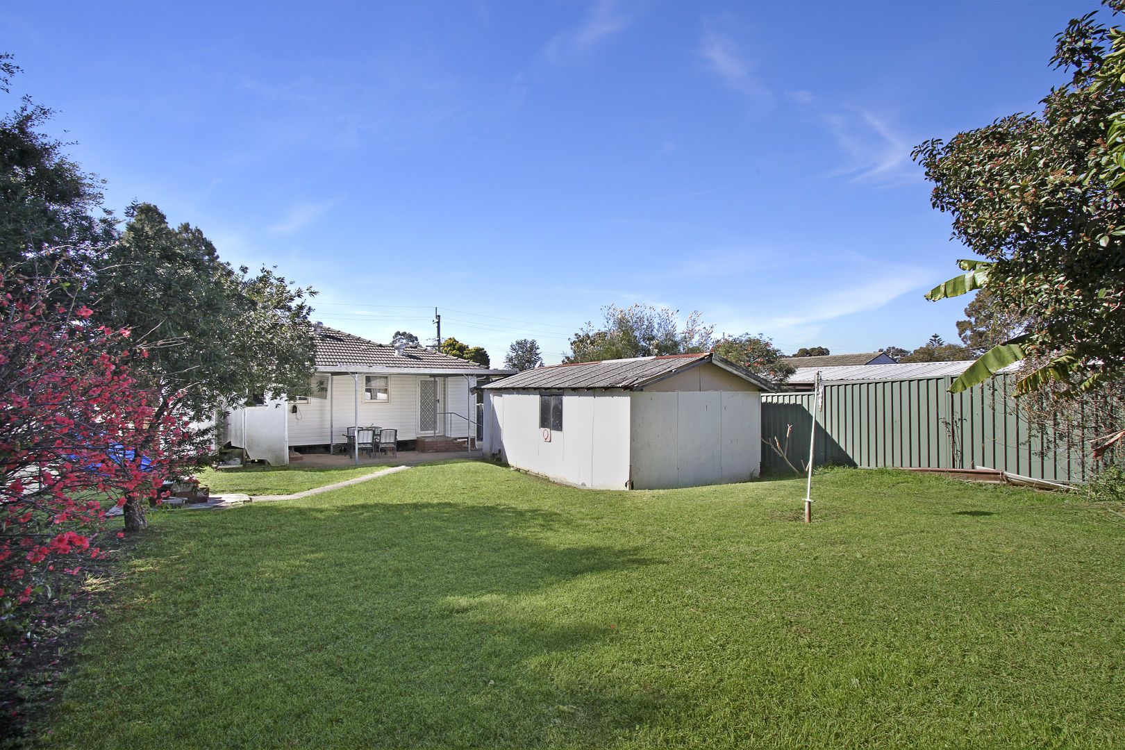 56 Shannon Street, Lalor Park NSW 2147, Image 1