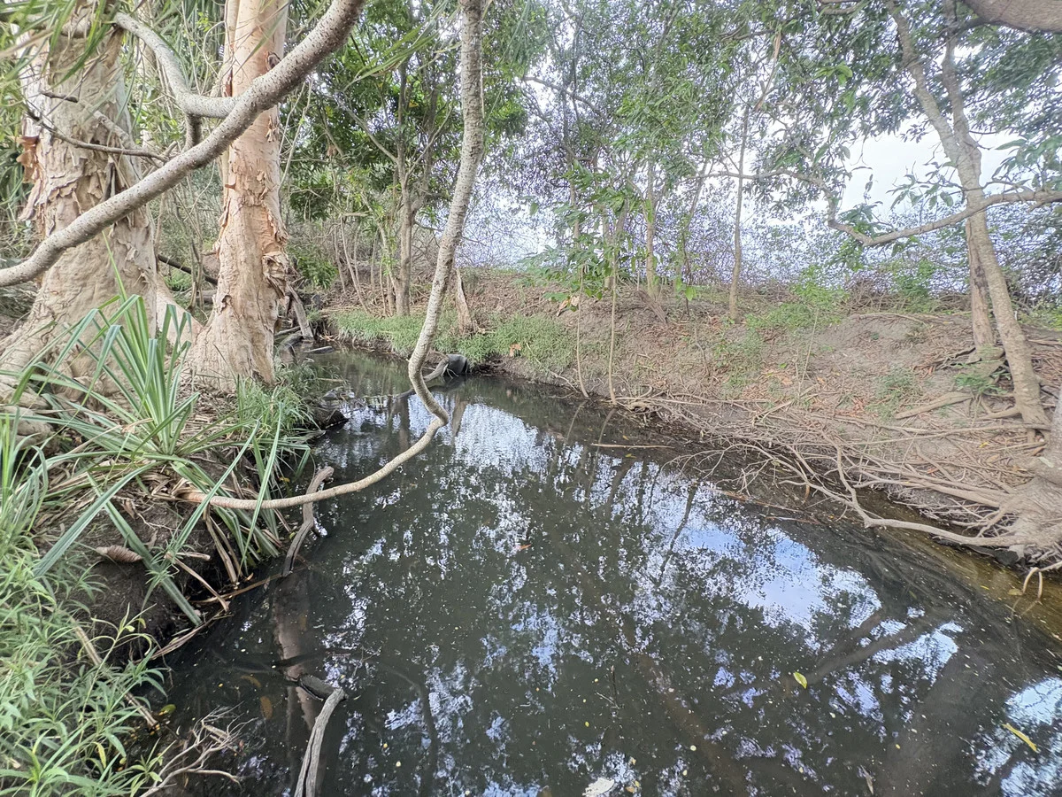 Image 14