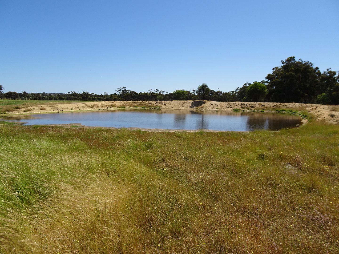 Lullfitz Road, Pingelly WA 6308, Image 2