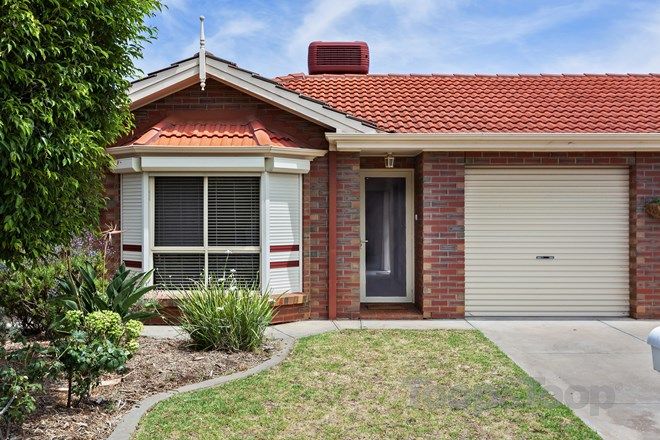 Picture of 1/9 Wychwood Court, FINDON SA 5023