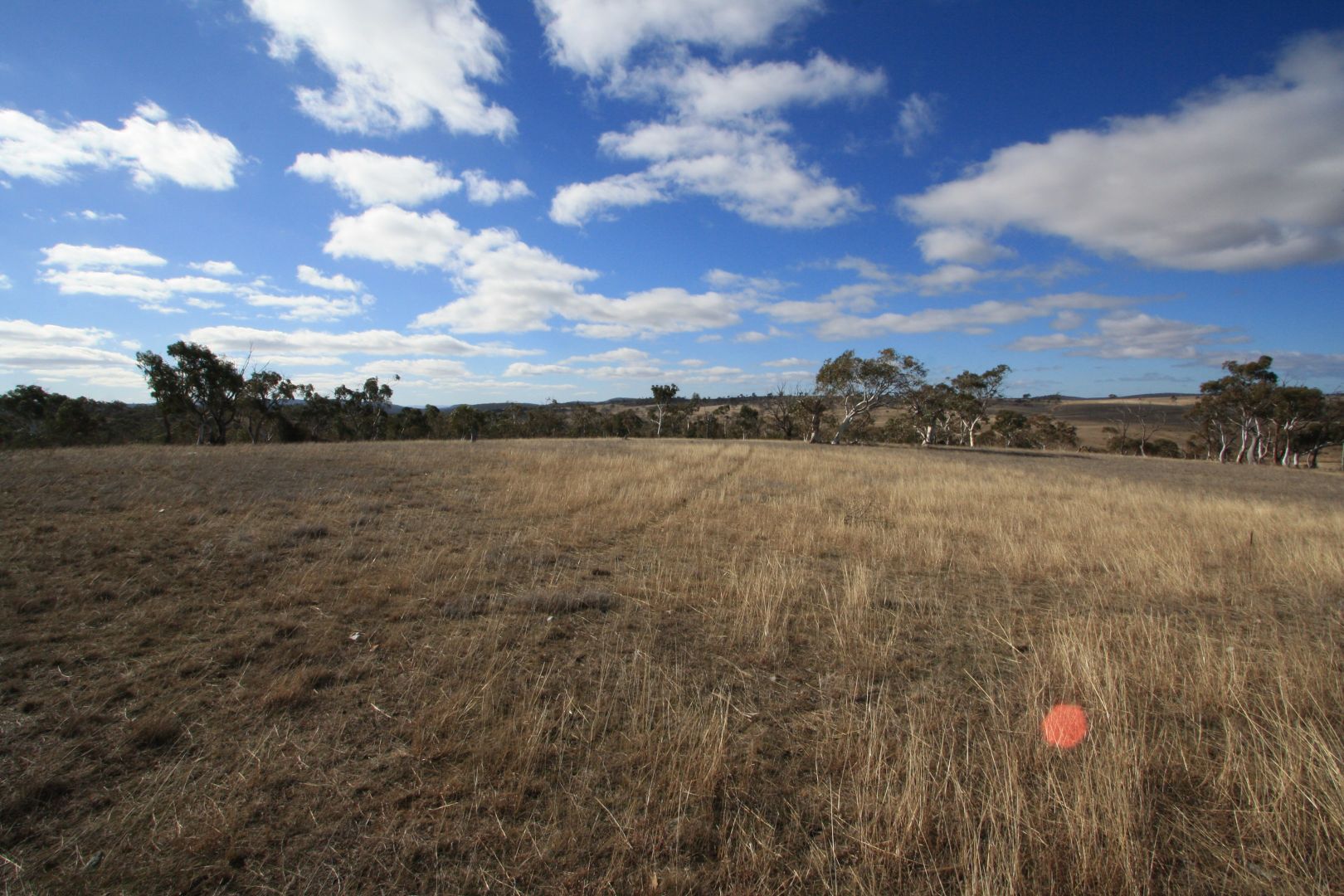 Lot 5 Ridgeview Lane, Cooma NSW 2630, Image 2