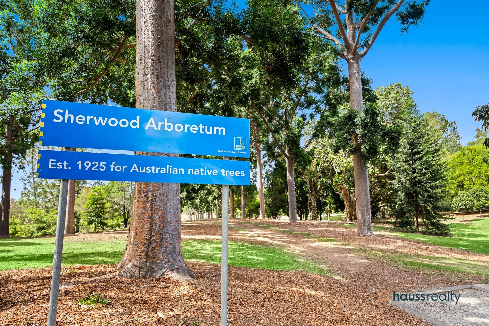 Additional image 16 of 99 Borden Street, Sherwood QLD 4075