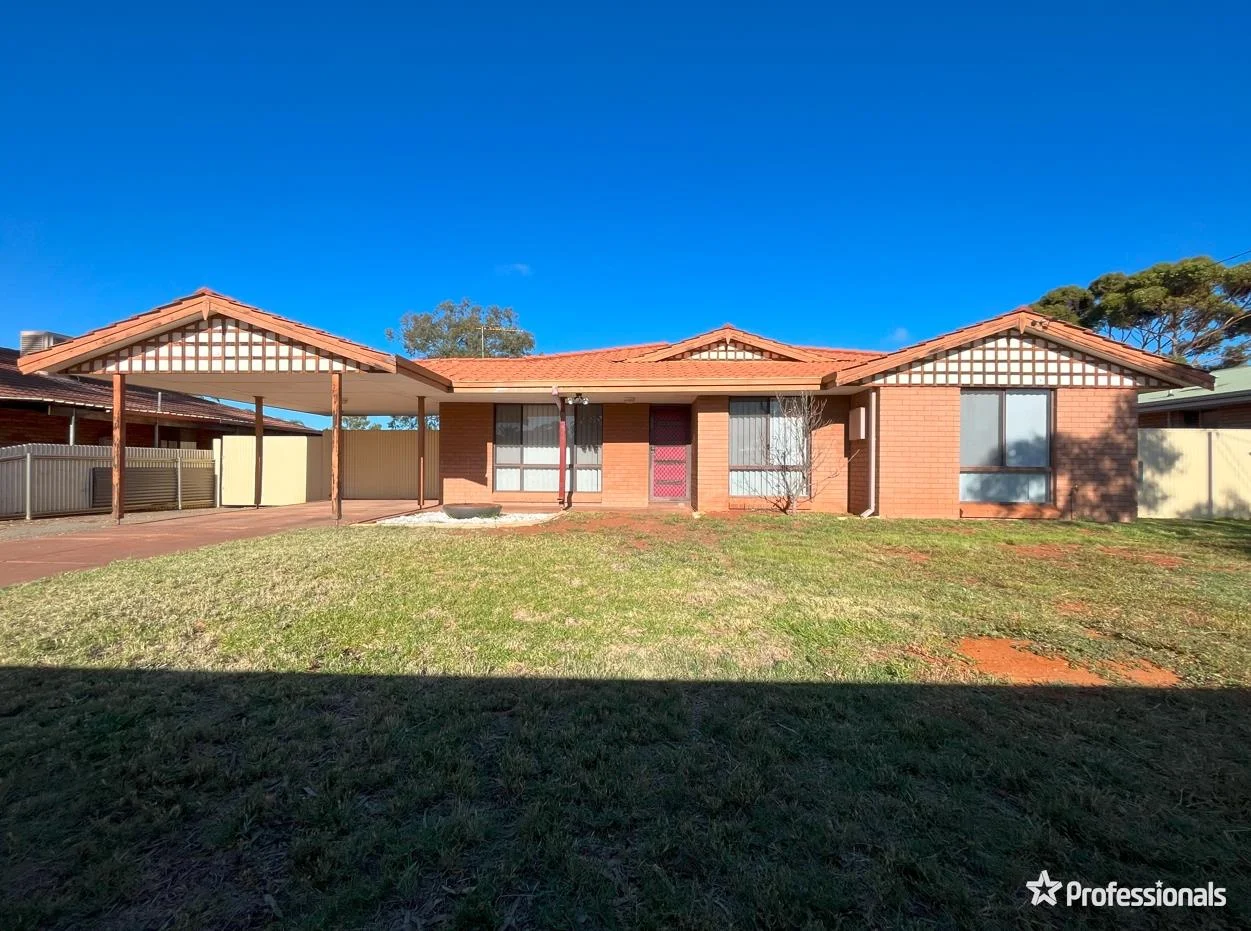 115 Graeme Street, Hannans WA 6430