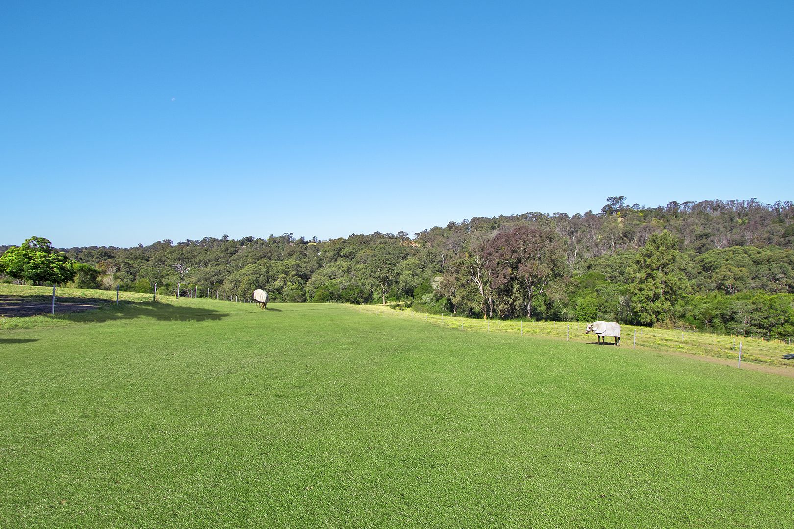 107 Baileys Lane, Kurrajong Hills NSW 2758, Image 2