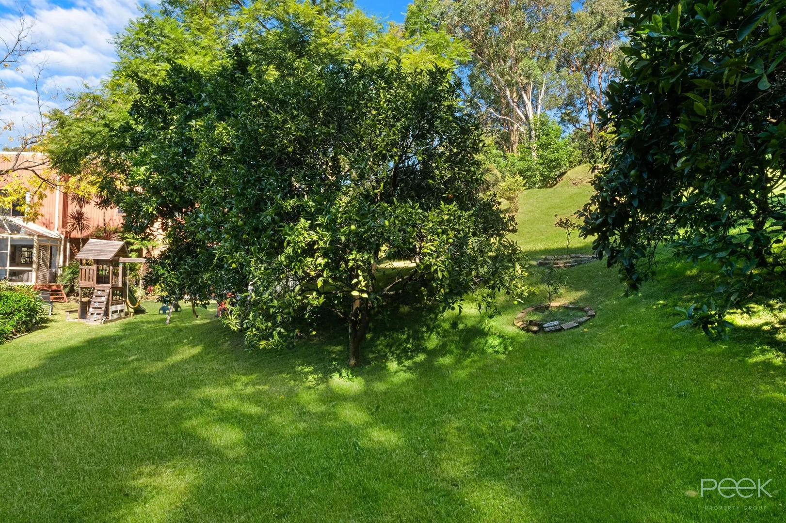Image 35