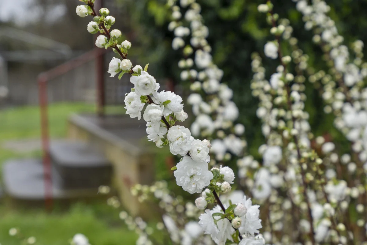 Image 20