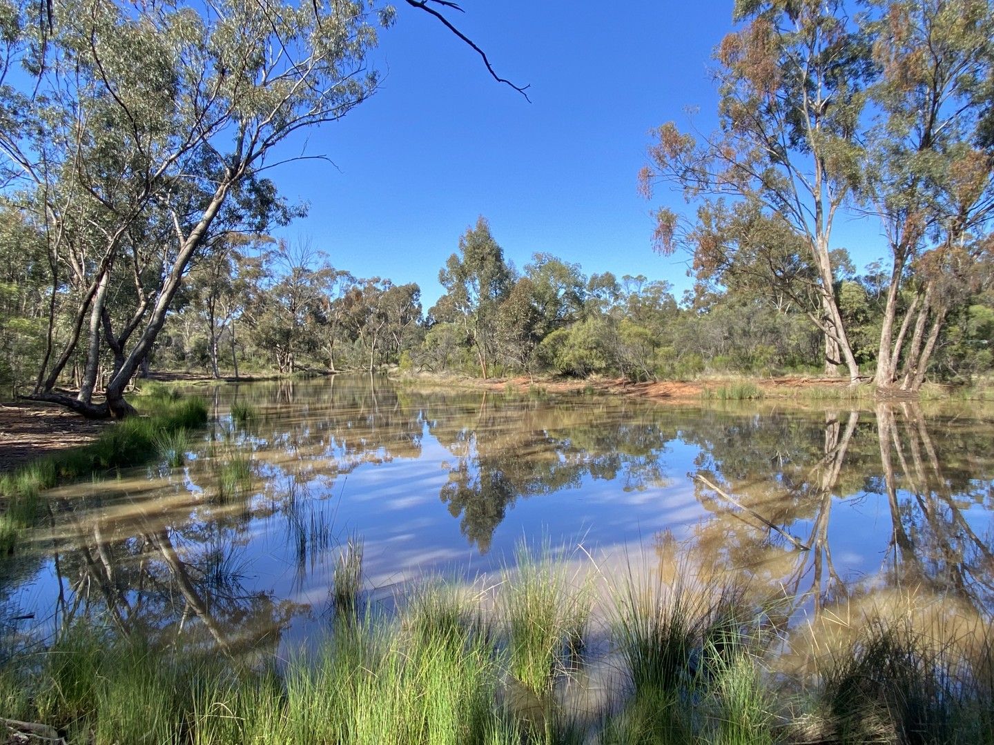 Lot 15 DP752086 Carlisle Road, Fifield NSW 2875, Image 0