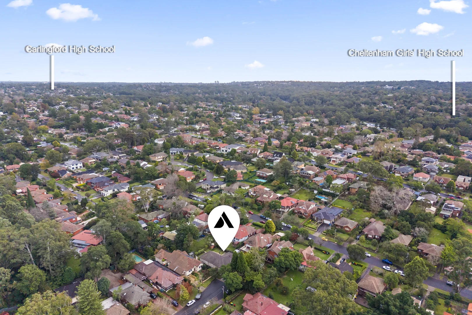 Image 19
