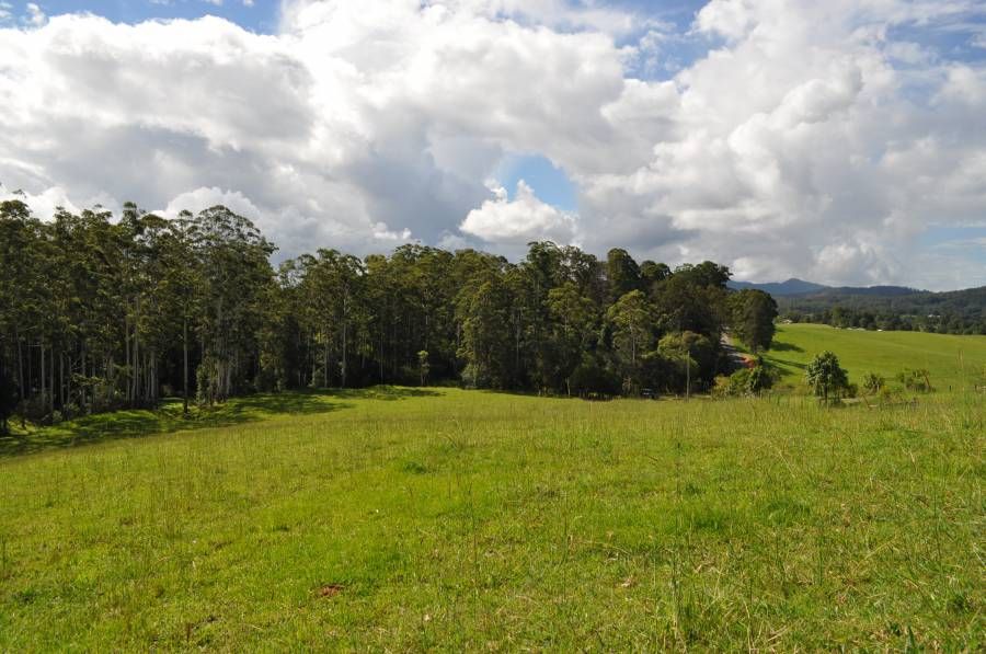 Lot 100 Grandis Glen, CONGARINNI NORTH NSW 2447, Image 0