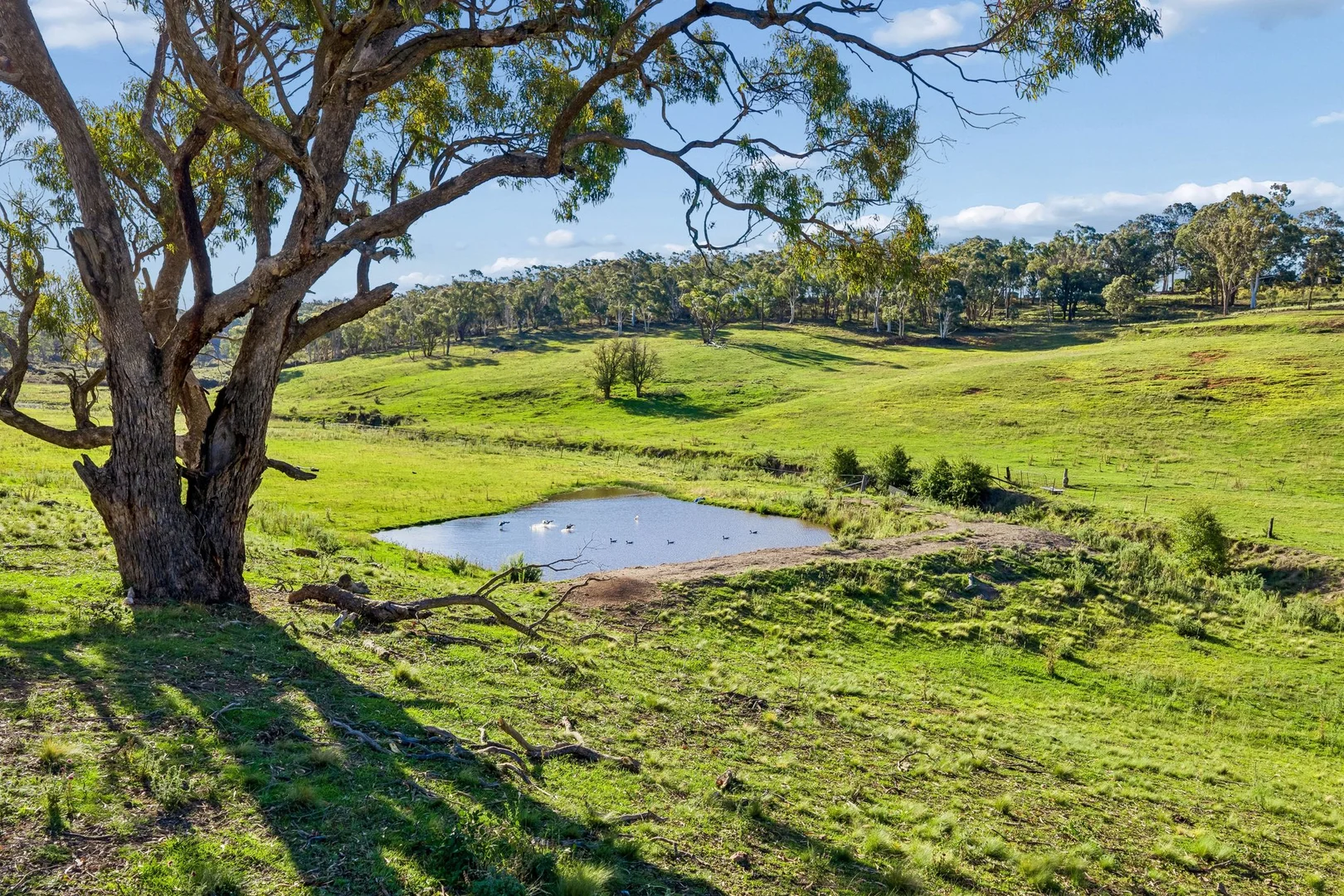 Additional image 35 of 526 Mount Baw Baw Road, Goulburn NSW 2580