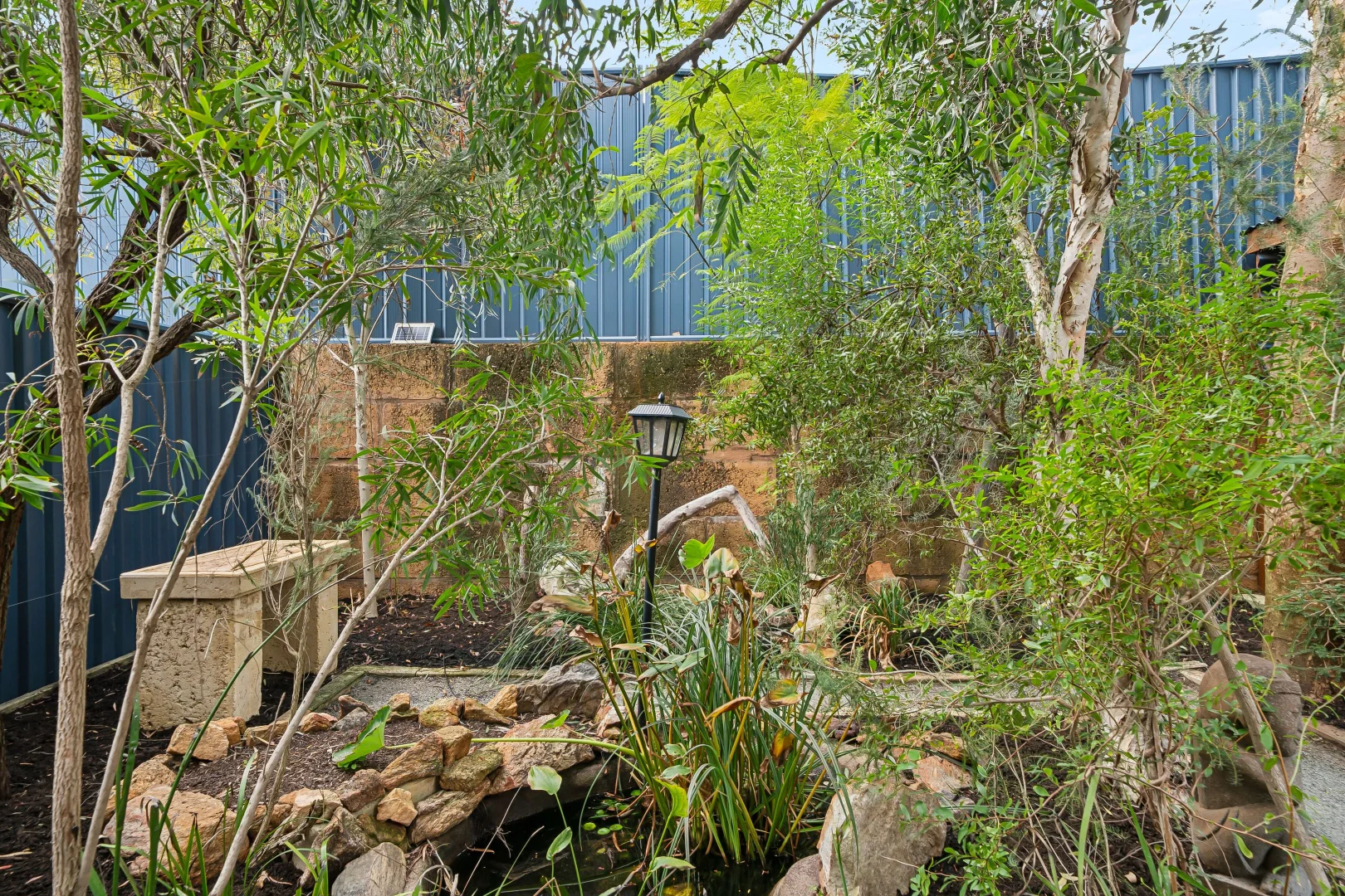 Image 33