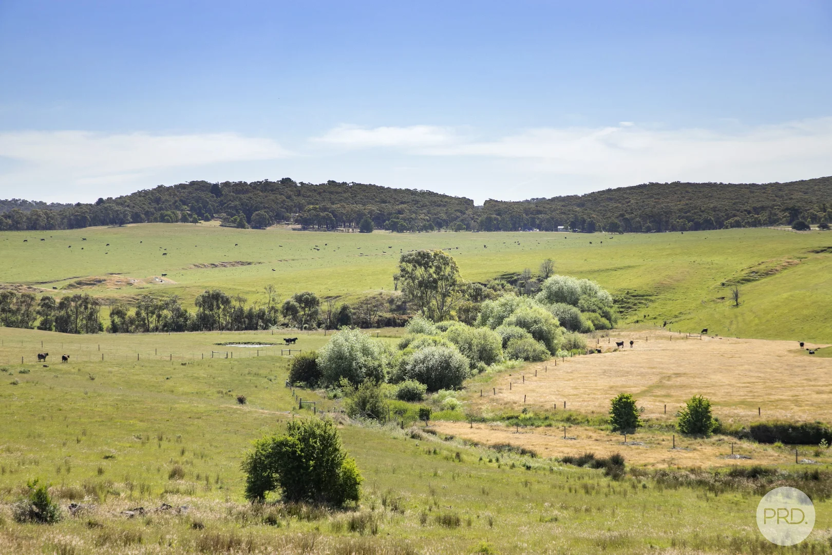 Additional image 4 of Lot 1/108 Galatea Road, Newtown VIC 3351