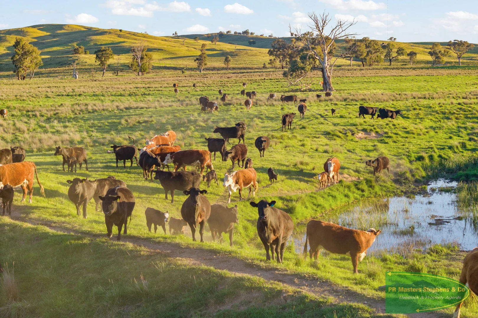 Additional image 25 of 351 Shepherds Creek Road, Euchareena NSW 2866