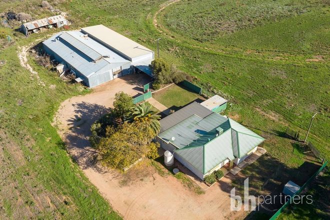 Picture of 693 Thiele Road, LOVEDAY SA 5345