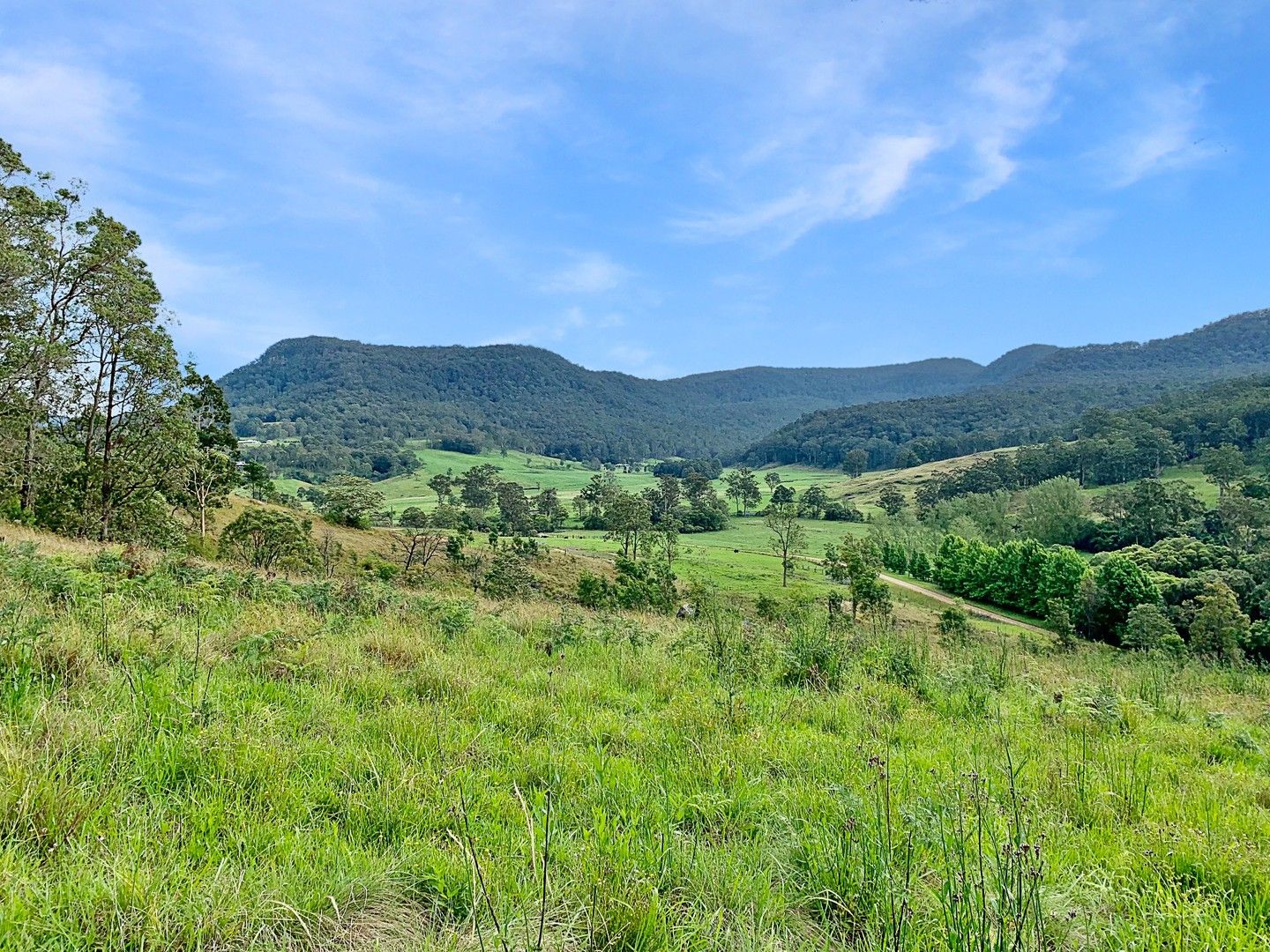 1646 Congewai Rd, Congewai NSW 2325, Image 0