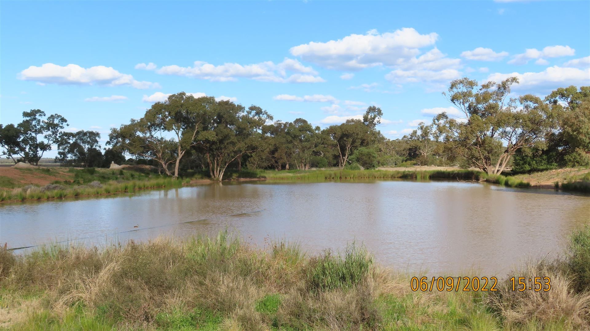 * Budgery Station, Hermidale NSW 2831, Image 2