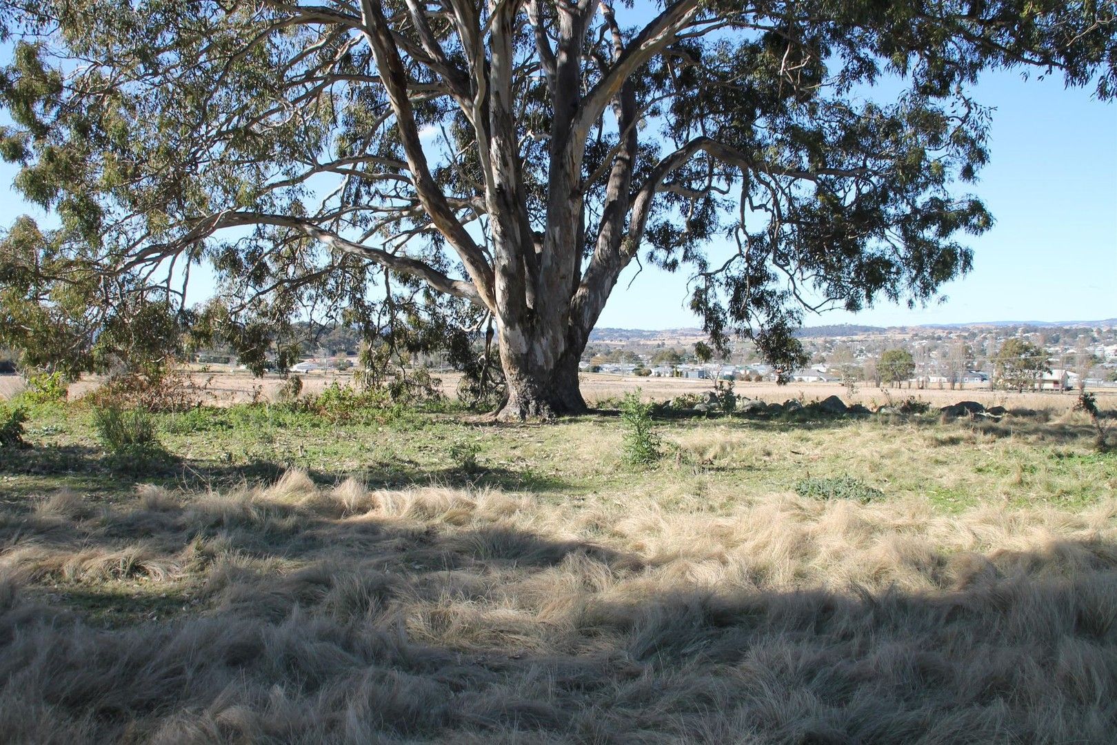 Vacant land in 54A Neagles Lane, TENTERFIELD NSW, 2372