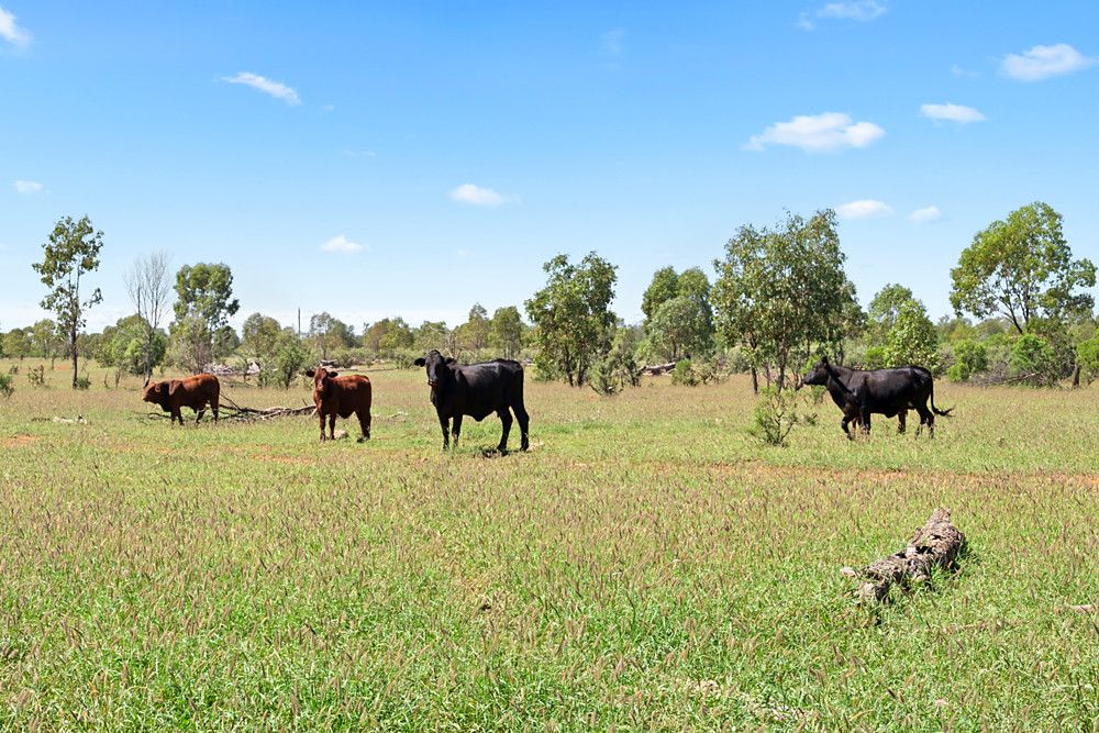 Glenmuir Middle Road, St George QLD 4487, Image 2