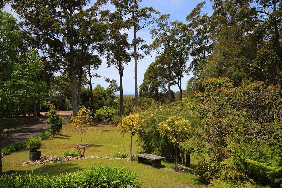 Lot 7 Acacia Avenue, Wonboyn NSW 2551, Image 1