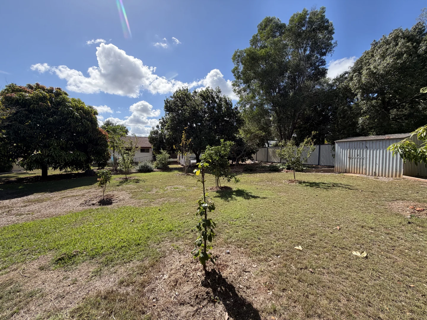Image 29