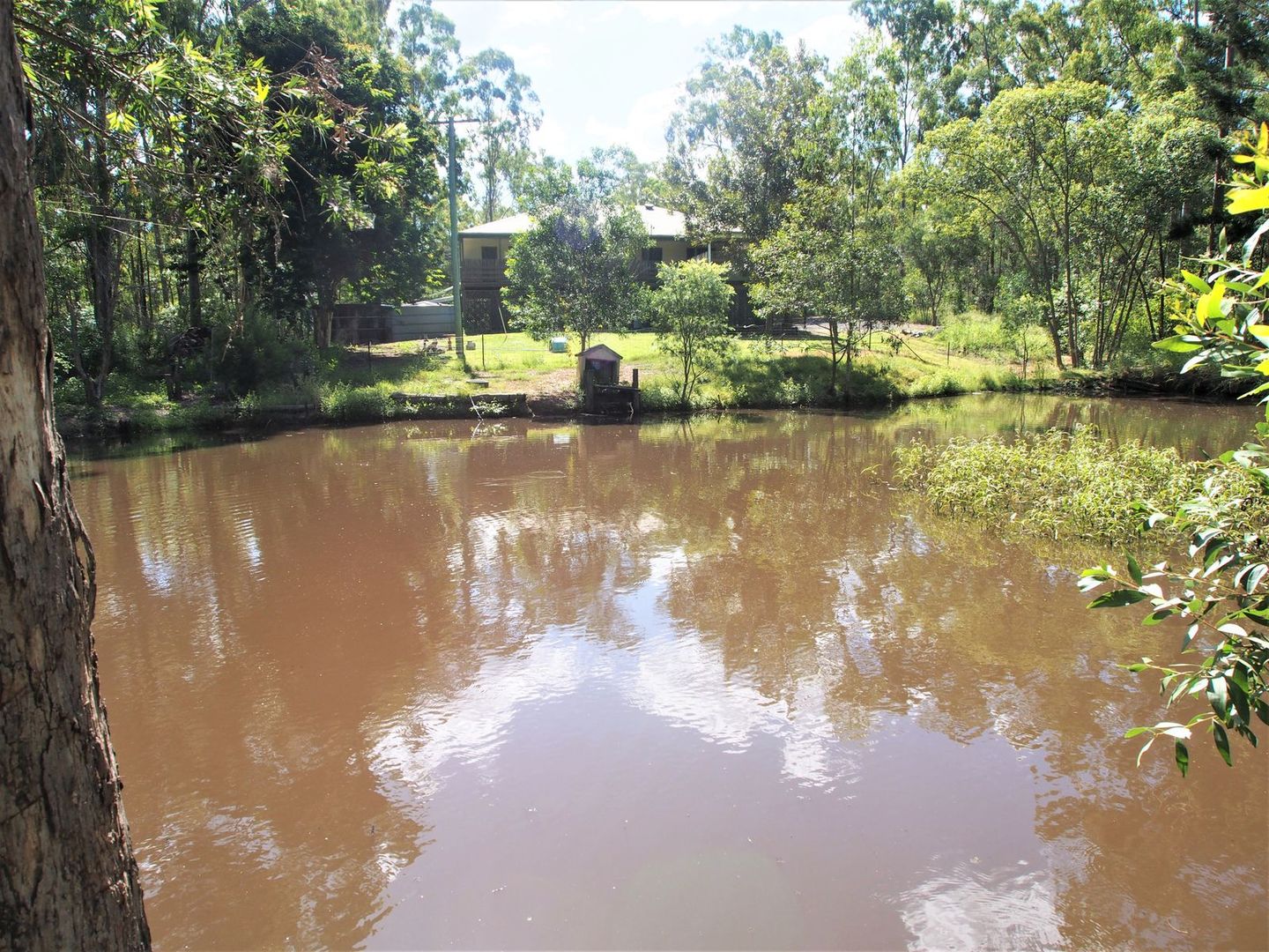 173 Hodges Road, Cordalba QLD 4660, Image 2