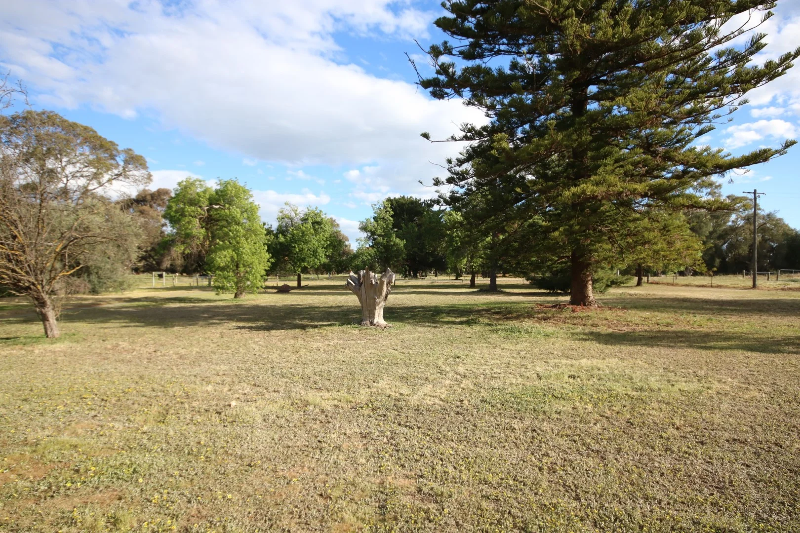 Additional image 17 of 258 Black Culvert Rd, Rochester VIC 3561