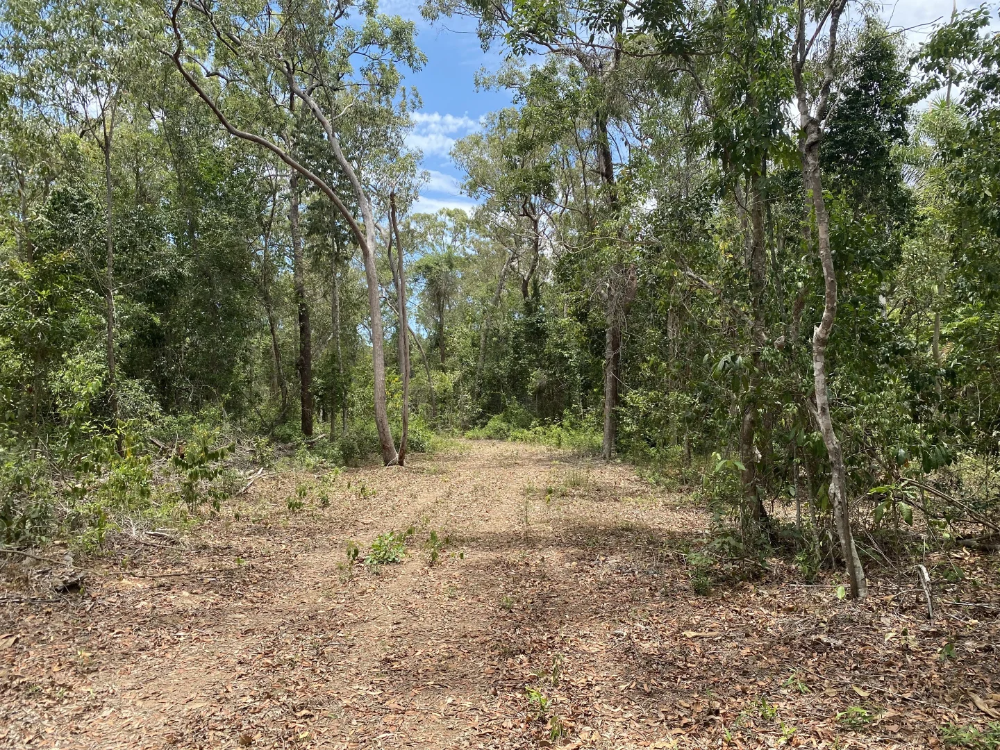 Image 11