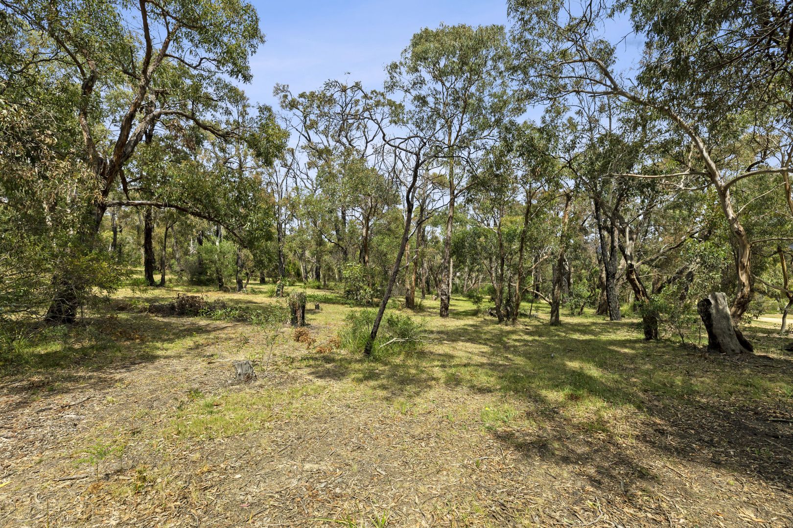 51 Hopkins Street, Aireys Inlet VIC 3231, Image 2