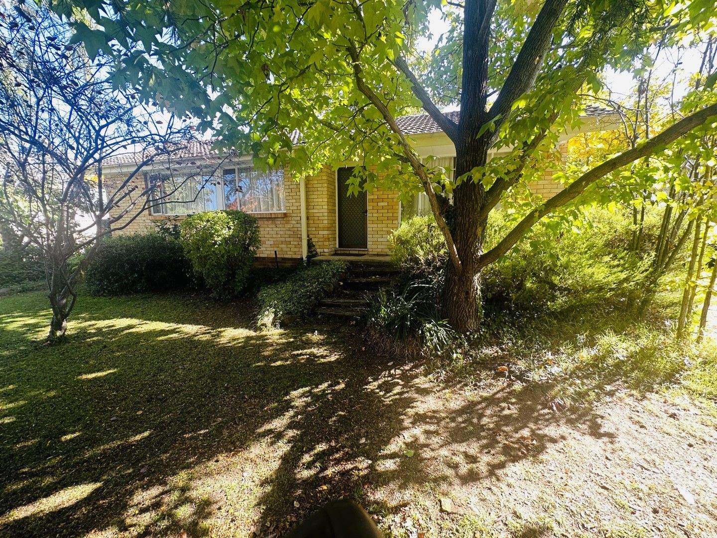 25 Collier Street, Curtin ACT 2605 House For Rent Domain