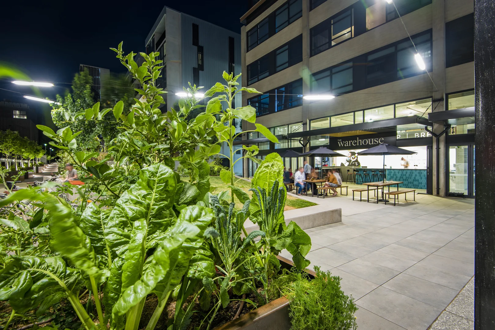 Additional image 10 of 103/17 The Causeway, Kingston ACT 2604