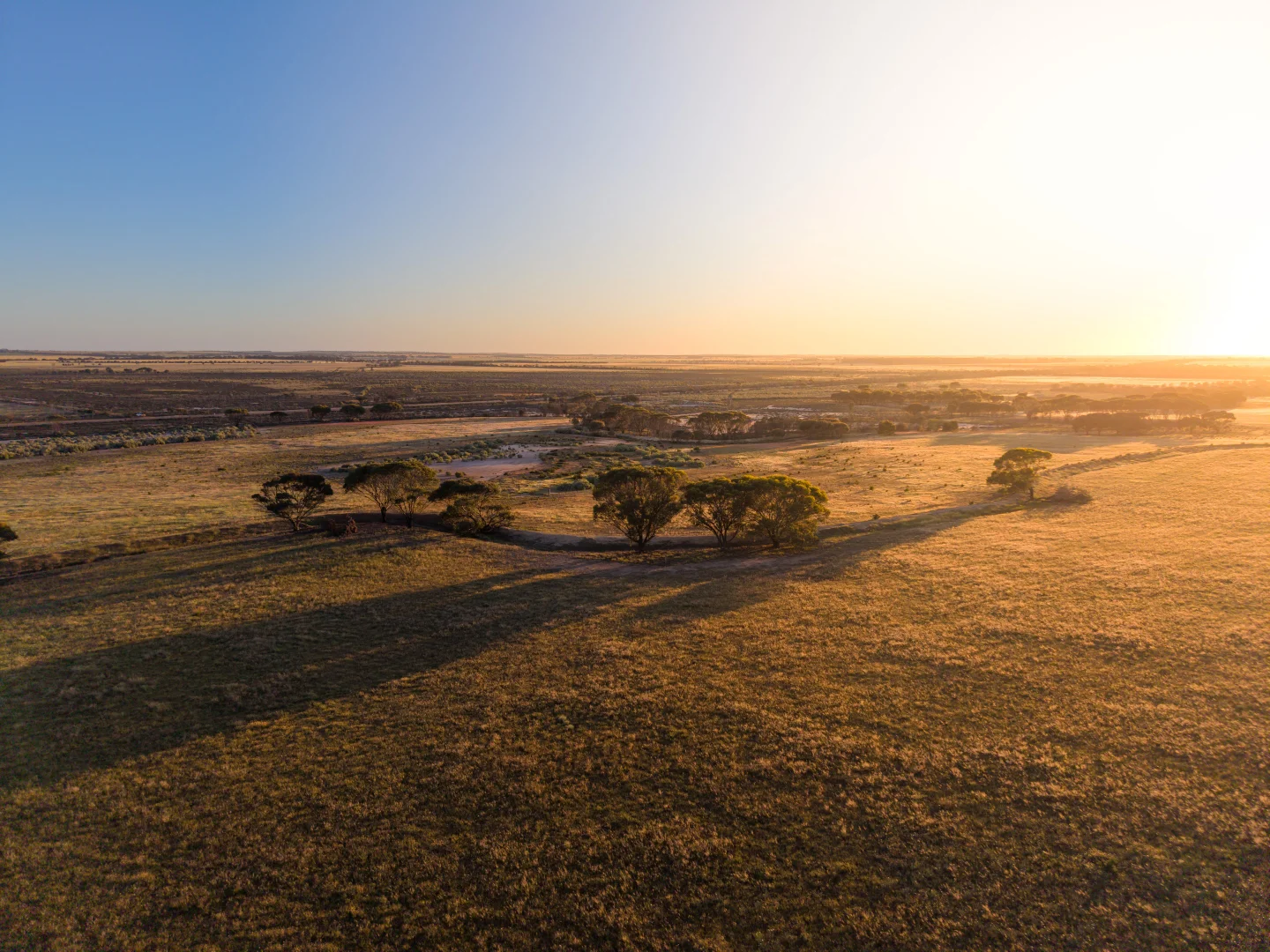 5566 Tieline Road, Gnowangerup WA 6335 - Farm for Sale | Domain