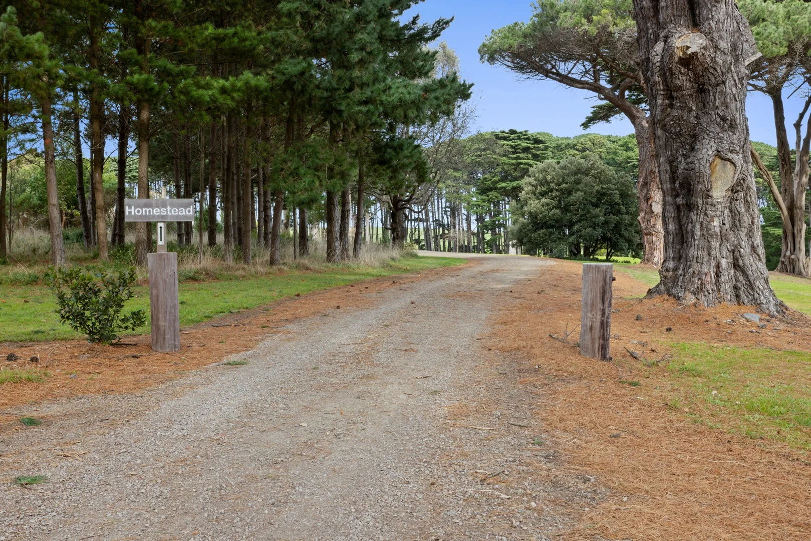 1584 Boneo Road, Flinders VIC 3929