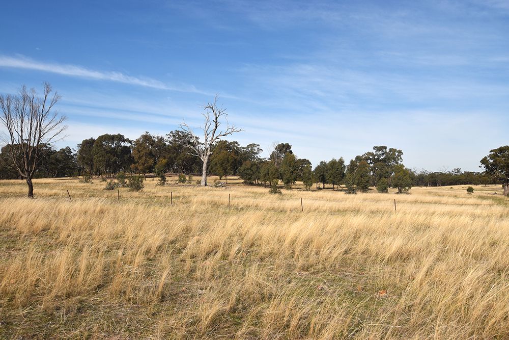 Corner Zegelin Road & Rushworth-Tatura Road, Waranga Shores VIC 3612, Image 1