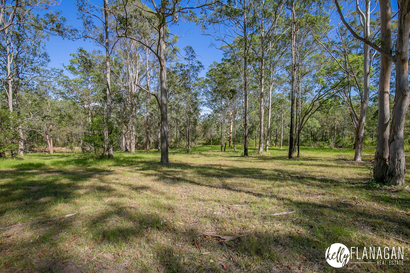 Additional image 20 of 115 Woolshed Gully Road, Temagog NSW 2440